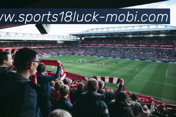 18新利体育服务体系